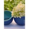 HYDRANGEA ENDLESS SUMMER BUSHING BRIDE