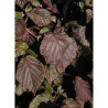 CORYLUS avellana RED MAJESTIC