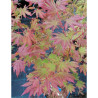 ACER pseudosieboldianum ARTIC JADE