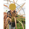 PHORMIUM RAINBOW MAIDEN En pot de 4-5 litres