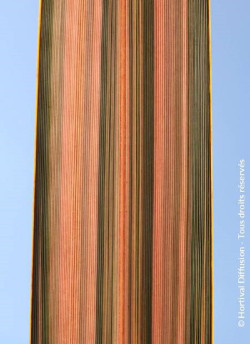 PHORMIUM PINK PANTHER